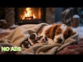12 Hours of Dog Calming Music for Dogs 🎵 Separation Anxiety Relief Music 🐾Dog Sleep Music 🐶
