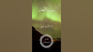 #قرآن #قران_كريم #راحة_نفسية #تلاوات #تلاوة_خاشعة