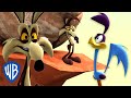Looney Tunes po polsku 🇵🇱 | Kojot i głaz | WB Kids
