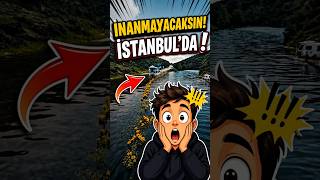 İstanbul'da böyle biryer oldugunu biliyormuydunuz? #gezilecekyerler #keşfet #campping #doğa #travel