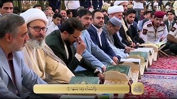 عمار الحلي | سورة الشمس