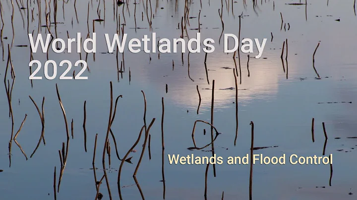 Wetlands and Flood Control - DayDayNews