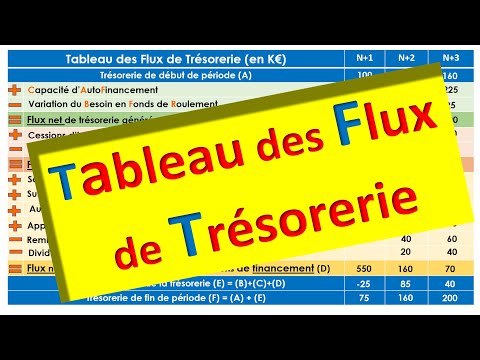 Vidéo: Un état des flux de trésorerie est-il obligatoire ?