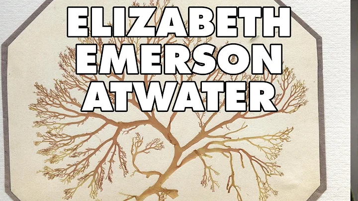 Elizabeth Emerson Atwater | Collections Spotlight