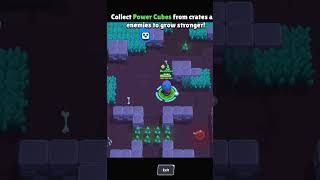 Pov Using El Brown Against Bots