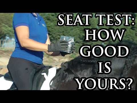 Your Riding Success - Steady Hands