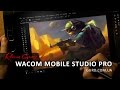 Роман Гуро. Обзор Wacom MobileStudio Pro для художников