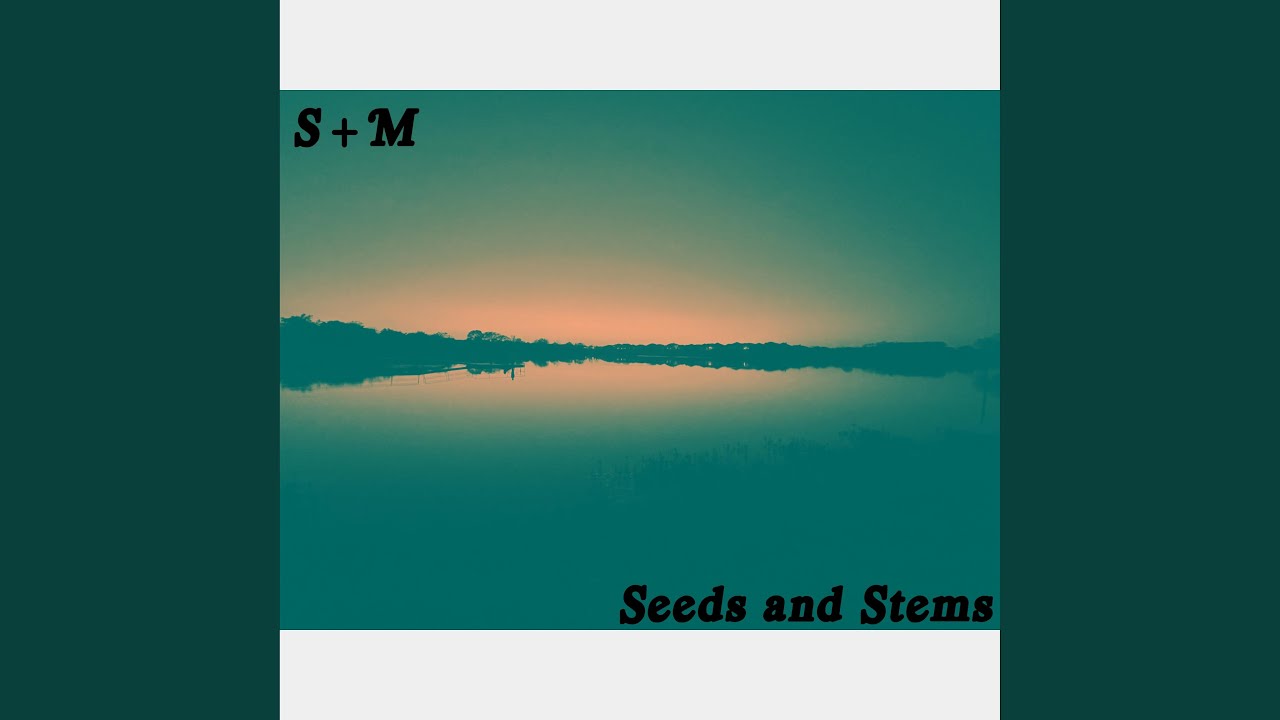 Seeds and Stems