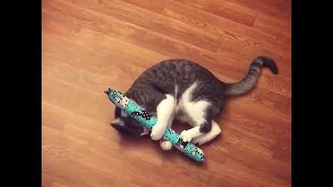 The Original KittyKickStix - 15" Catnip Kicker Toys