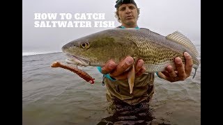 SALTWATER Lure Fishing 101  Beginners Guide MADE EASY to Catch SALTWATER  FISH with lures 