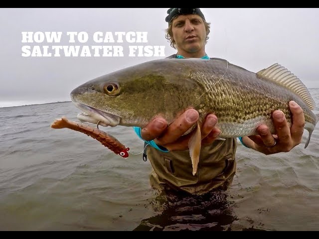 SALTWATER Lure Fishing 101  Beginners Guide MADE EASY to Catch