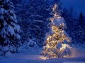 2012- Popular Christmas Songs 2012