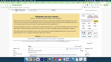 Web Development 1 CodeHS 2.4.6 Wiki Page