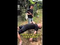 Dangerous actions should not be imitated. Shaolin trained for 2 years are different.