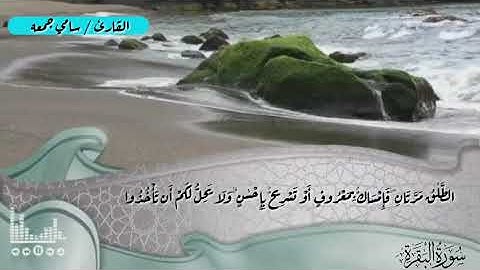 ماتيسر من سورة البقرة للقارئ سامي جمعة