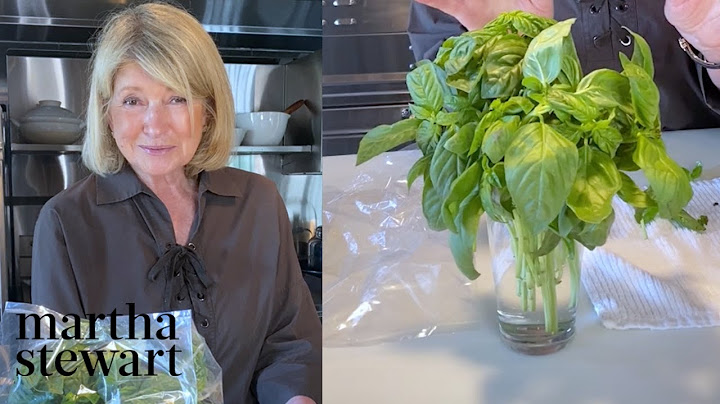 Martha's Tips for Keeping Basil Fresh | Homeschool with Martha | #StayHome #WithMe