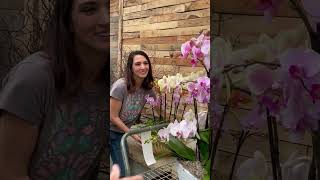 КОМПЛИМЕНТЫ ДЕВУШКЕ :)  ...   #usa  #flowers
