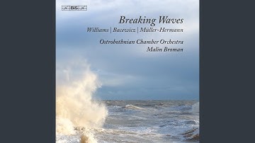 String Quartet No. 4 (Arr. for String Orchestra by Marijn van Prooijen): I. Andante – Allegro...