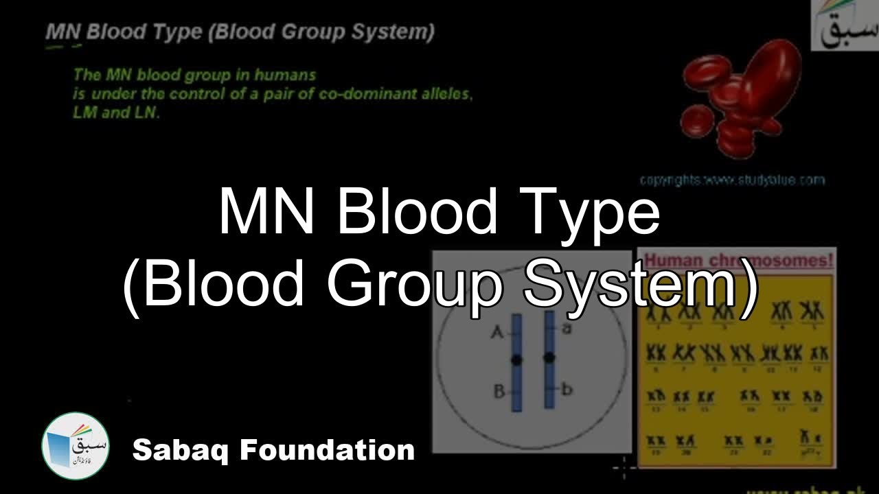 MN Blood Type Blood Group System Biology Lecture Sabaq pk YouTube MN Blood Type Blood Group System Biology Lecture Sabaq pk YouTube