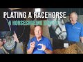 How to Plate a Racehorse - Farriery in Newmarket, the Home of Horse Racing