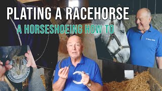 How to Plate a Racehorse - Farriery in Newmarket, the Home of Horse Racing