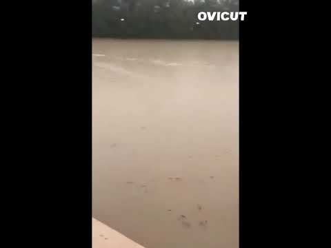 بحيرة وانهار أصبحت مزرعه في الوفرة جنوب الكويت امطار الكويت