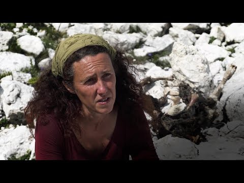 Der Wolf in Sdtirol ? Michaela Prister, Hirtin auf der Schlernalm