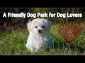 A Friendly Dog Park For Dogs and Dog Lovers