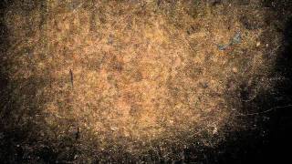 Biomass Intro