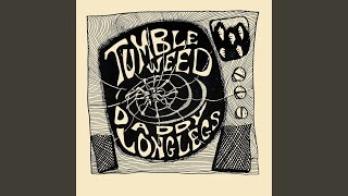 Video thumbnail of "Tumbleweed - Daddy Long Legs"