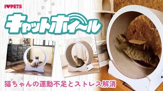 キャットホイール　爪研ぎ　ランニングサークル　回し車　運動不足解消 運動不足を解消_ストレス発散に_猫用ルームランナー_キャットホイール_