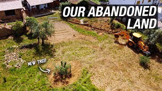 We waited YEARS for this! Restoring an abandoned land