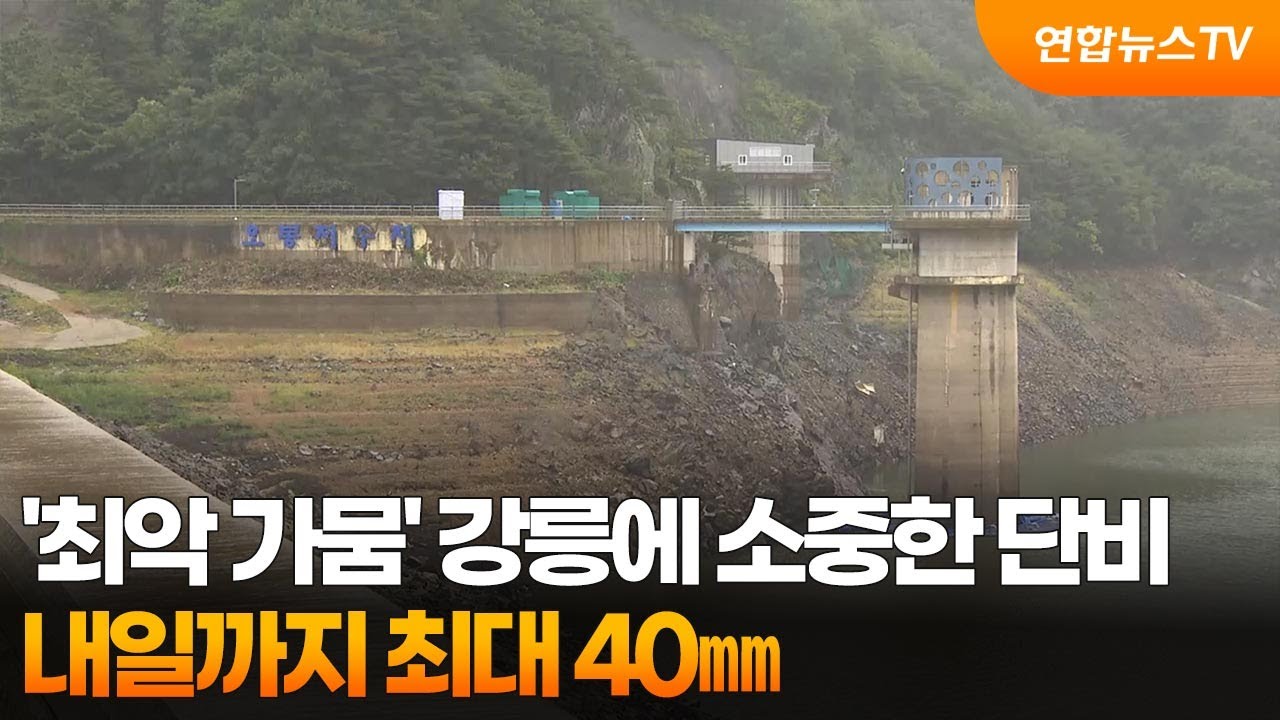 '최악 가뭄' 강릉에 소중한 단비…내일까지 최대 40㎜ / 연합뉴스TV (YonhapnewsTV)
