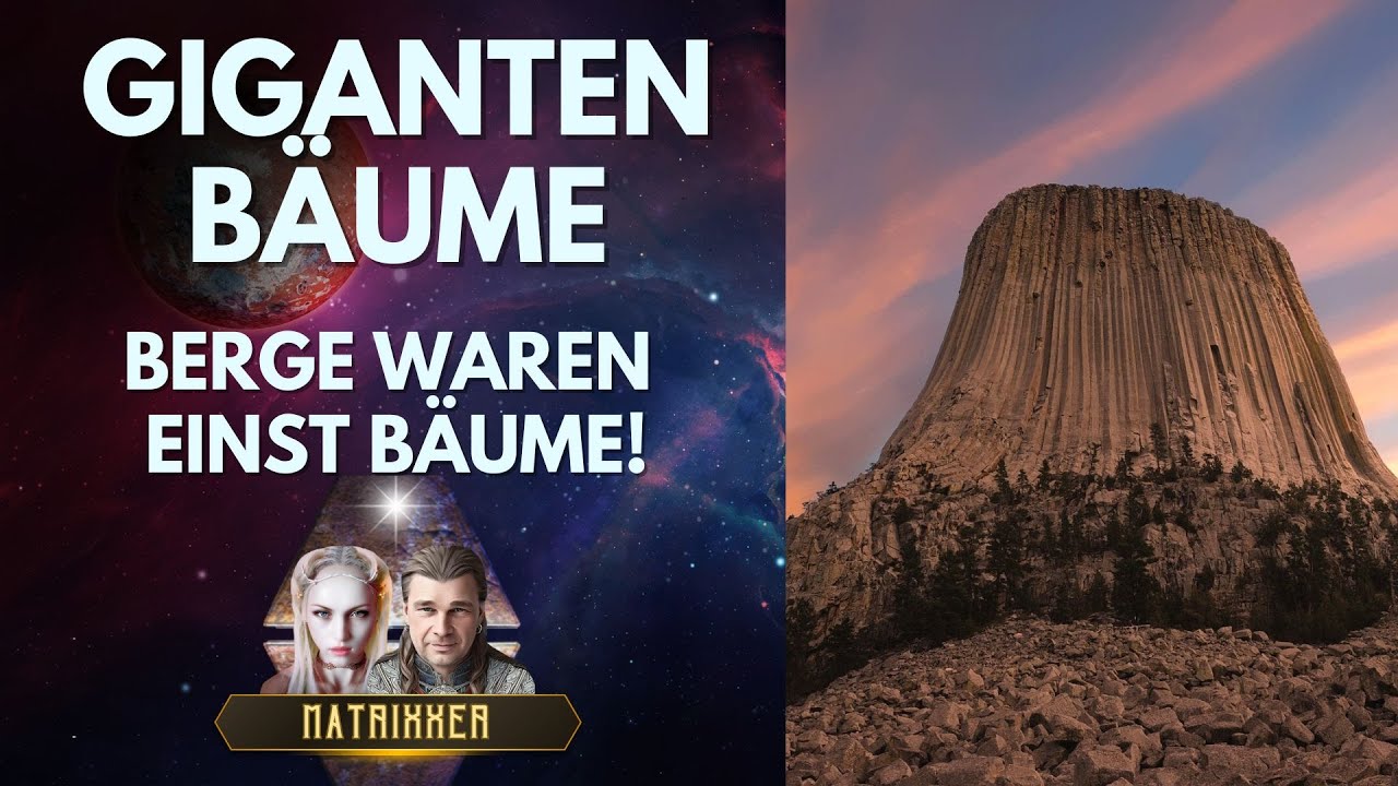 Berge sind Bäume - Aliens plünderten die Erde [Avatar - Aufbruch nach Pandora]