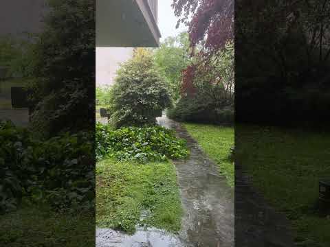 هوای بارونی قشنگه نه هروز واقعا