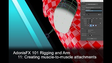 AdonisFX Tutorials 101 - Rigging an Arm - 11: Creating muscle-to-muscle attachments (version 1.4)