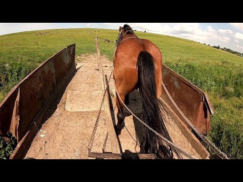 Video: Bárbara Bermudo Oslavuje Svoje Tretie Tehotenstvo A Radí (FOTKY)