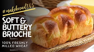 The BEST bread EVER | Brioche Bread w/100% Freshly Milled Wheat | August 2023 #makebread365