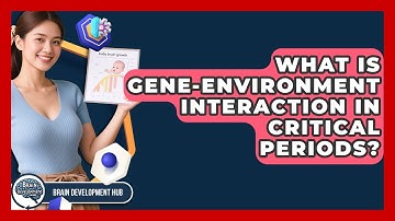What Is Gene-environment Interaction In Critical Periods? - Brain Development Hub
