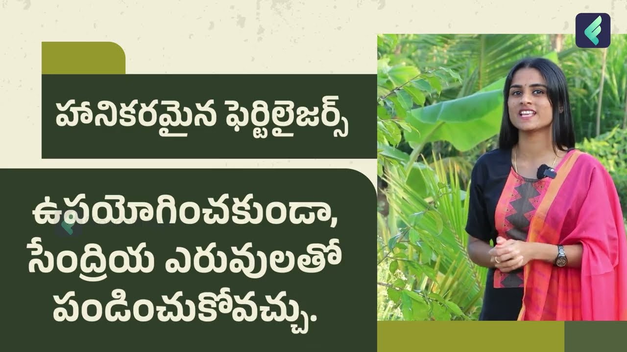 Agarwood Farming Guide in Telugu Black Gold Cultivation and Markets