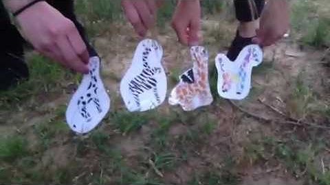 Population growth/limiting factors grace