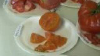 Les meilleurs fruits et légumes : le melon