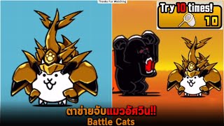 ตาข่ายจับแมวอัศวิน Battle Cats