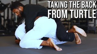 Attacking the Back - Turtle Position - 