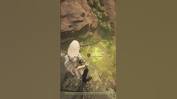 Whoever thought up this game mechanic is a genius #dragonsdogma2 #dd2