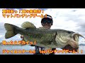 【バス釣り】夏到来っ！マットパンチングゲーム開幕っ！  夏の風物詩なマットパンチングゲーム！  ジャイロスター3.5inch炸裂っ！