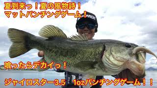 【バス釣り】夏到来っ！マットパンチングゲーム開幕っ！  夏の風物詩なマットパンチングゲーム！  ジャイロスター3.5inch炸裂っ！