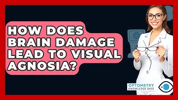 How Does Brain Damage Lead To Visual Agnosia? - Optometry Knowledge Base