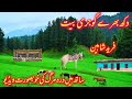 New Gojri Bait 2021 Awaz Fareed Ahmed Shaheen Dara Ki Marg GOJRIANDPAHARICULTURE PAHARIGEET New Gojri Bait 2021 Awaz Fareed Ahmed Shaheen Dara Ki Marg GOJRIANDPAHARICULTURE PAHARIGEET