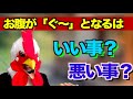 お腹が「ぐ〜」と鳴る理由とは？